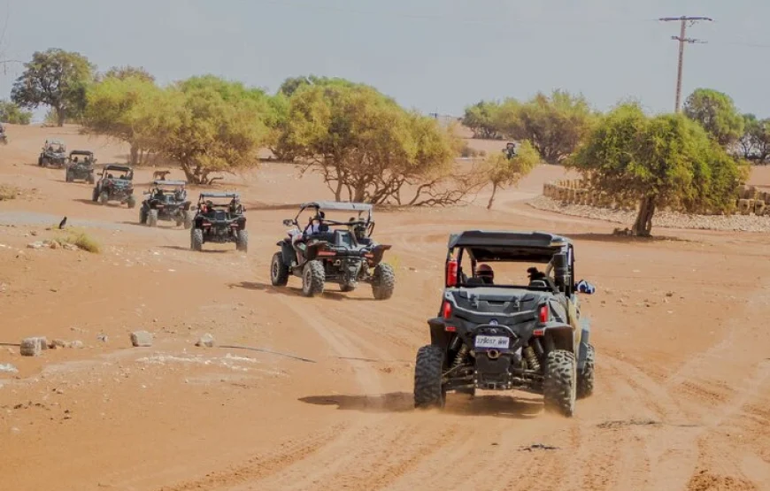 Buggy Safari Adventure from Agadir or Taghazout