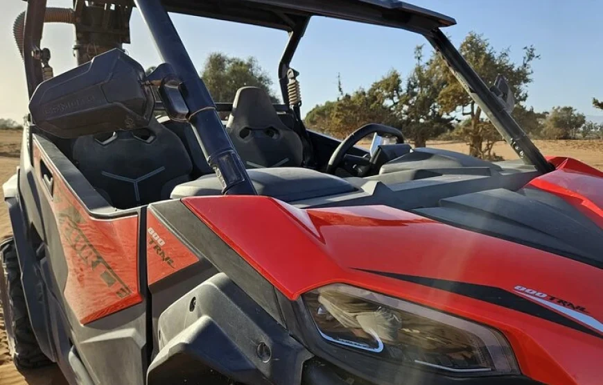 Buggy Safari Adventure from Agadir or Taghazout
