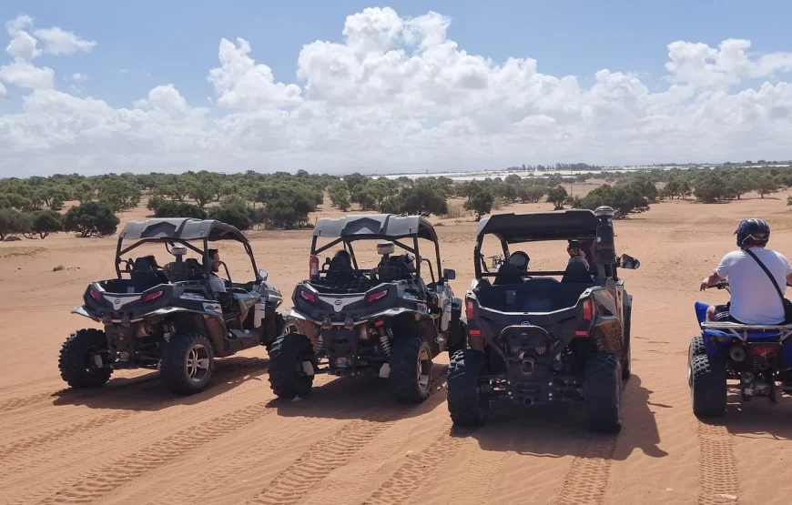 Buggy Safari Adventure from Agadir or Taghazout
