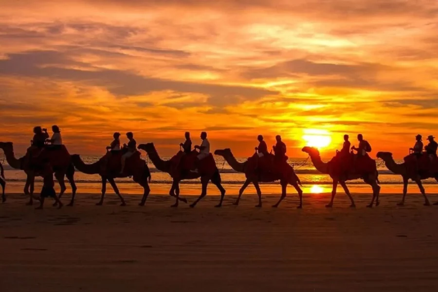 Agadir Camel Ride 1 - Bokiny Morocco