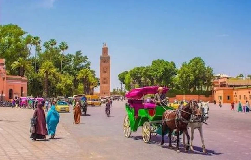 Marrakech Day Trip from Agadir & Taghazout | Medina & Souk Tour