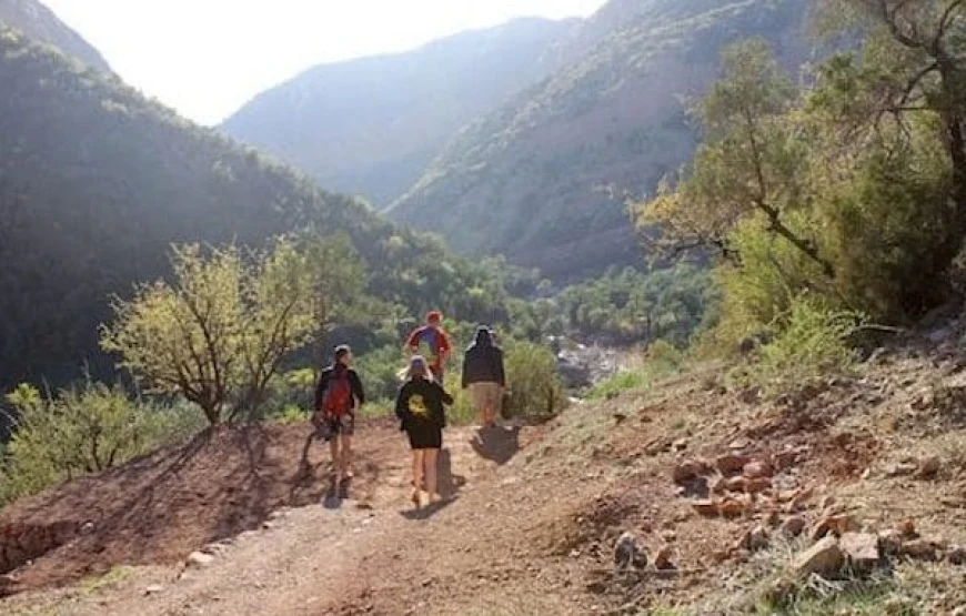 Paradise Valley Trip from Agadir & Taghazout