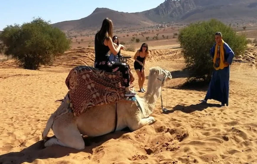 Small Desert Trip from Agadir & Taghazout | 4×4 Safari & Berber Lunch