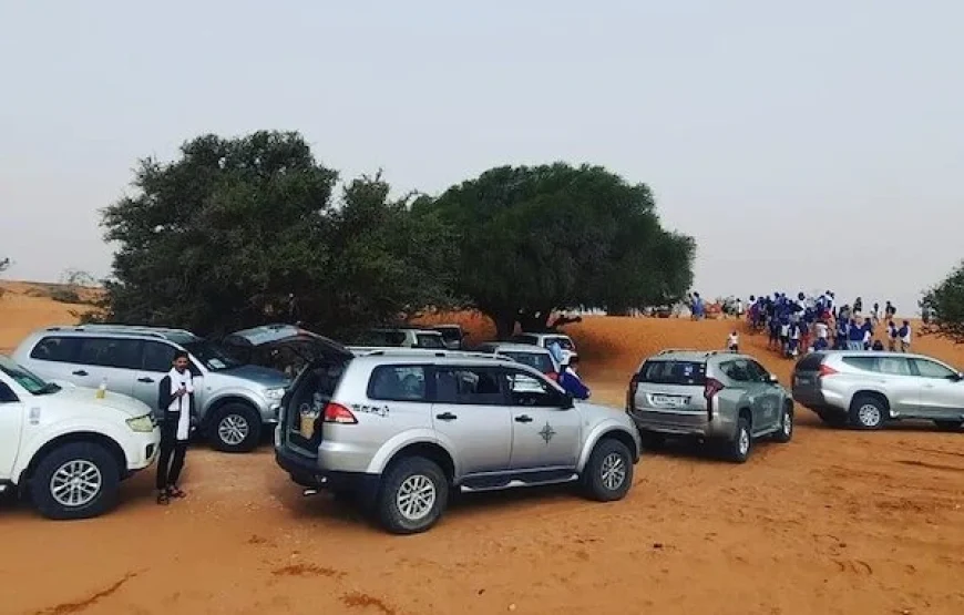 Small Desert Trip from Agadir & Taghazout | 4×4 Safari & Berber Lunch